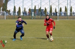 Sparing: Zagłębie Sosnowiec - Odra Opole (galeria2)