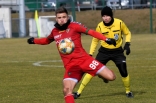 Sparing: Zagłębie Sosnowiec - Odra Opole (galeria2)
