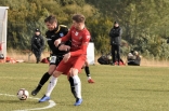 Zagłębie Sosnowiec - SC Znojmo 27.01.2019