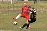 Zagłębie Sosnowiec - SC Znojmo 27.01.2019