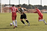 Zagłębie Sosnowiec - SC Znojmo 27.01.2019