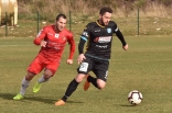 Zagłębie Sosnowiec - SC Znojmo 27.01.2019