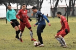 Zagłębie Sosnowiec - Zarkovo Belgrad 23.01.2019