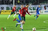 Zagłębie Sosnowiec - Puszcza Niepołomice (galeria2)