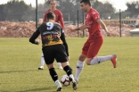 Zagłębie Sosnowiec - SC Znojmo 27.01.2019
