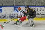 Hokej: Zagłębie Sosnowiec - GKS Katowice