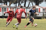 Zagłębie Sosnowiec - Zarkovo Belgrad 23.01.2019