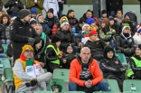 Zagłębie Sosnowiec - GKS Katowice (galeria2)