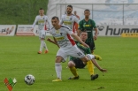 Zagłębie Sosnowiec - GKS Jastrzębie (galeria2)