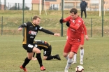 Zagłębie Sosnowiec - SC Znojmo 27.01.2019
