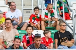 Zagłębie Sosnowiec - Wisła Płock