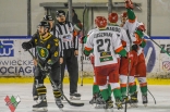 Hokej: Zagłębie Sosnowiec - GKS Katowice
