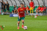 Zagłębie Sosnowiec - Wisła Płock