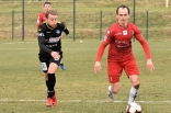 Zagłębie Sosnowiec - SC Znojmo 27.01.2019