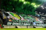 Stal Stalowa Wola - Zagłębie Sosnowiec cz.II