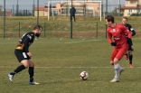 Zagłębie Sosnowiec - SC Znojmo 27.01.2019