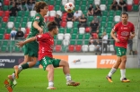 Zagłębie Sosnowiec - Olimpia Grudziądz