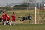 Zagłębie Sosnowiec - SC Znojmo 27.01.2019
