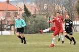 Zagłębie Sosnowiec - SC Znojmo 27.01.2019