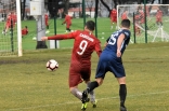 Zagłębie Sosnowiec - Zarkovo Belgrad 23.01.2019