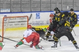 Hokej: Play-Off Zagłębie Sosnowiec - GKS Katowice
