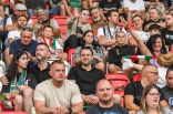 Zagłębie Sosnowiec - Wisła Płock