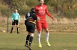 Zagłębie Sosnowiec - SC Znojmo 27.01.2019