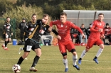 Zagłębie Sosnowiec - SC Znojmo 27.01.2019