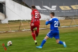 Sparing: Zagłębie Sosnowiec - Ruch Chorzów (galeria2)
