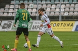 Zagłębie Sosnowiec - GKS Jastrzębie (galeria2)