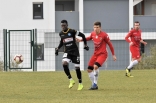 Zagłębie Sosnowiec - SC Znojmo 27.01.2019