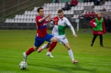 Zagłębie Sosnowiec - Raków Częstochowa (galeria 2)