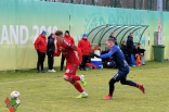 Sparing: Zagłębie Sosnowiec - Odra Opole (galeria2)