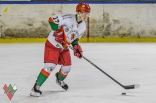 Hokej: Zagłębie Sosnowiec - GKS Katowice