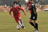 Zagłębie Sosnowiec - SC Znojmo 27.01.2019