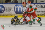 Hokej: Zagłębie Sosnowiec - GKS Katowice