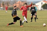 Zagłębie Sosnowiec - SC Znojmo 27.01.2019