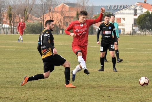 Galeria zdjęć z meczu Zagłębie Sosnowiec - SC Znojmo