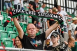 Zagłębie Sosnowiec - Wisła Płock
