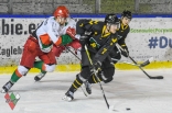 Hokej: Play-Off Zagłębie Sosnowiec - GKS Katowice