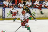 Hokej: Zagłębie Sosnowiec - GKS Katowice