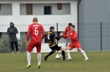 Zagłębie Sosnowiec - SC Znojmo 27.01.2019