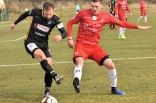 Zagłębie Sosnowiec - SC Znojmo 27.01.2019