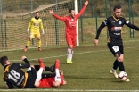 Zagłębie Sosnowiec - SC Znojmo 27.01.2019