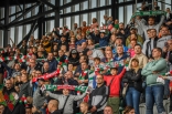 Zagłębie Sosnowiec - Bruk-Bet Termalica Nieciecza (galeria 2)