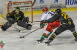 Hokej: Zagłębie Sosnowiec - GKS Katowice