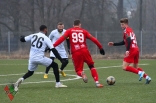 Sparing: Zagłębie Sosnowiec - Radomiak Radom