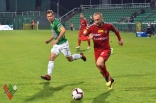 Warta Poznań - Zagłębie Sosnowiec