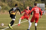 Zagłębie Sosnowiec - SC Znojmo 27.01.2019