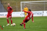 Sparing: Zagłębie Sosnowiec - Ruch Chorzów (galeria2)